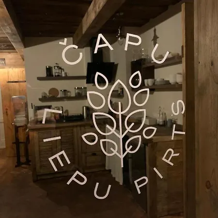 Holiday home Capu Liepu Sauna *